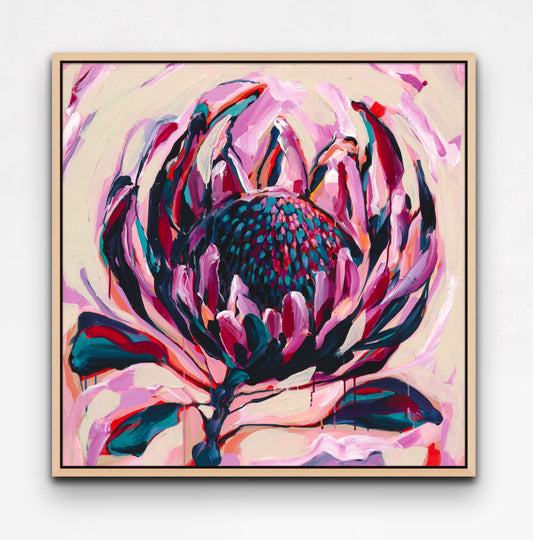 Framed Canvas Print | Balmoral Protea | Small