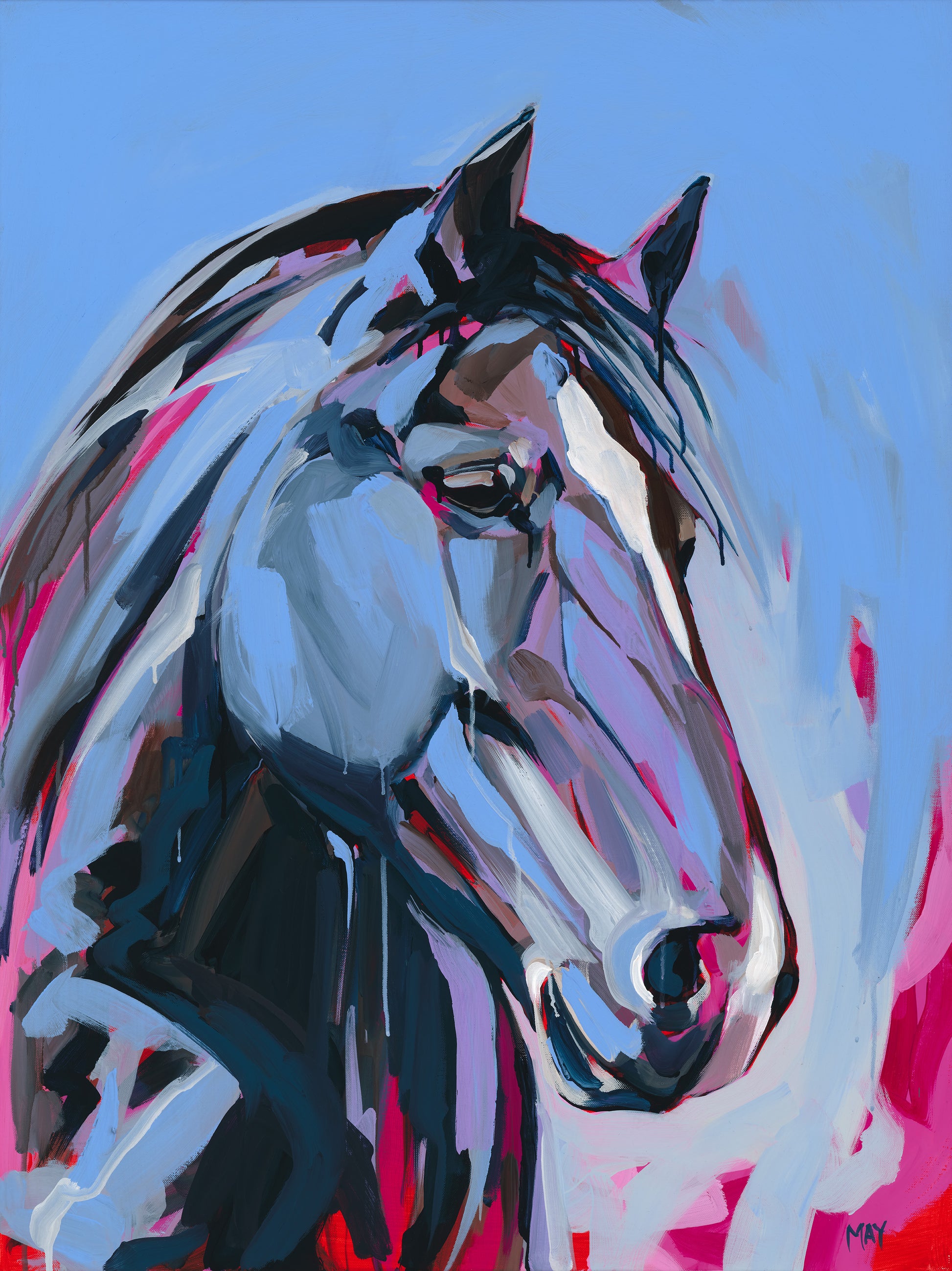 Equine Art by Helen May Art Fine Art Print
