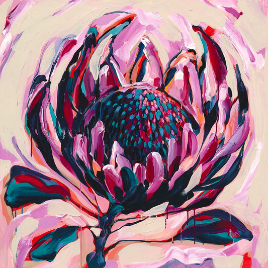 Balmoral Protea Fine Art Reproduction of Floral Painting by Helen May Artist