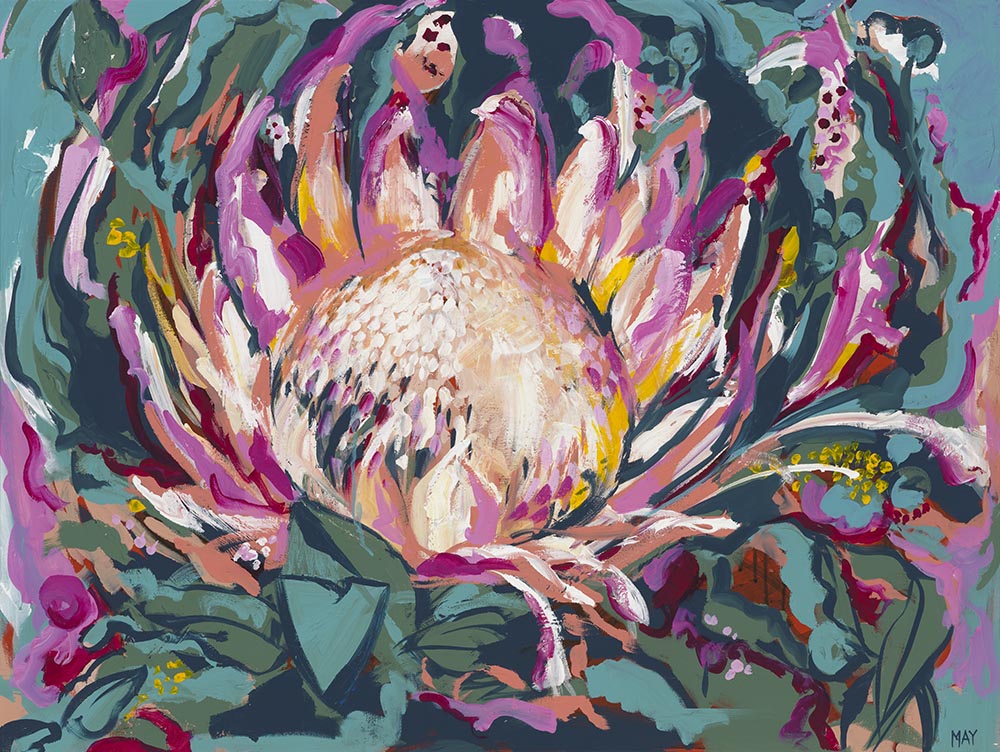 Helen May Artist King Protea Framed Canvas Print