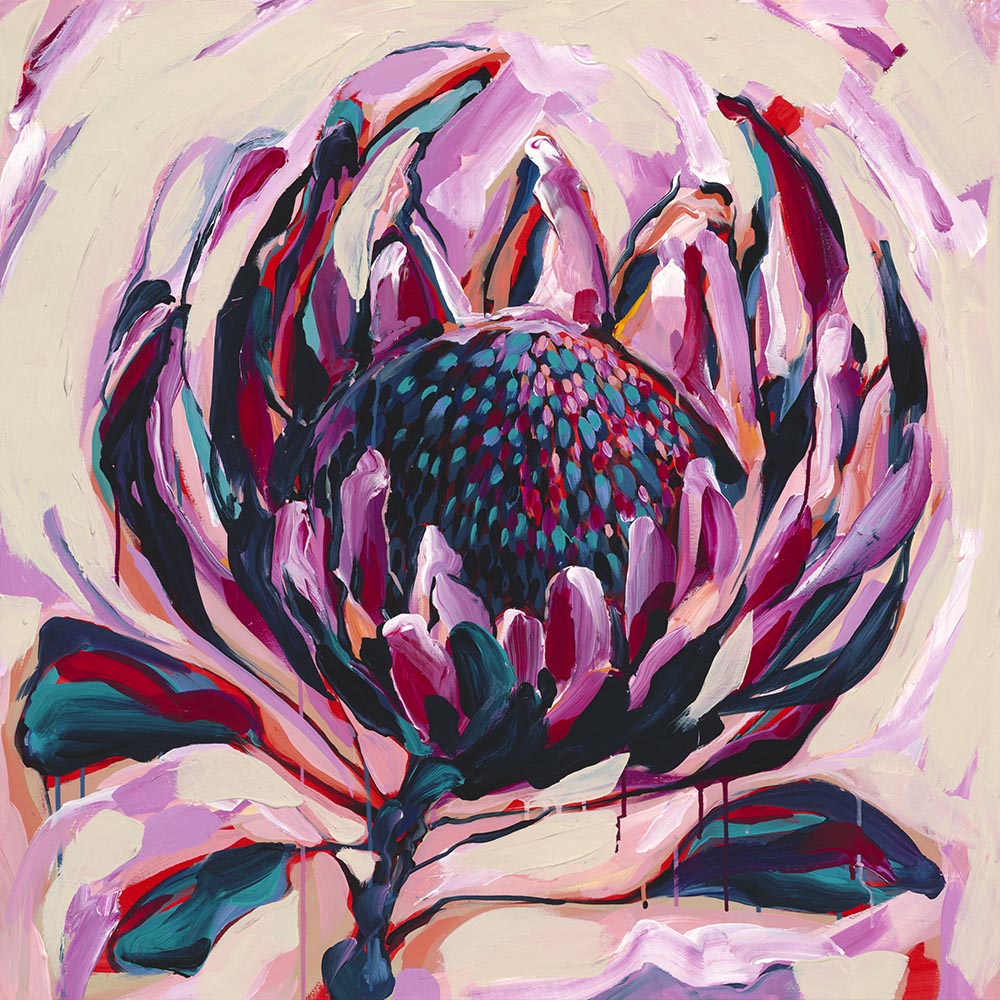 Balmoral Protea