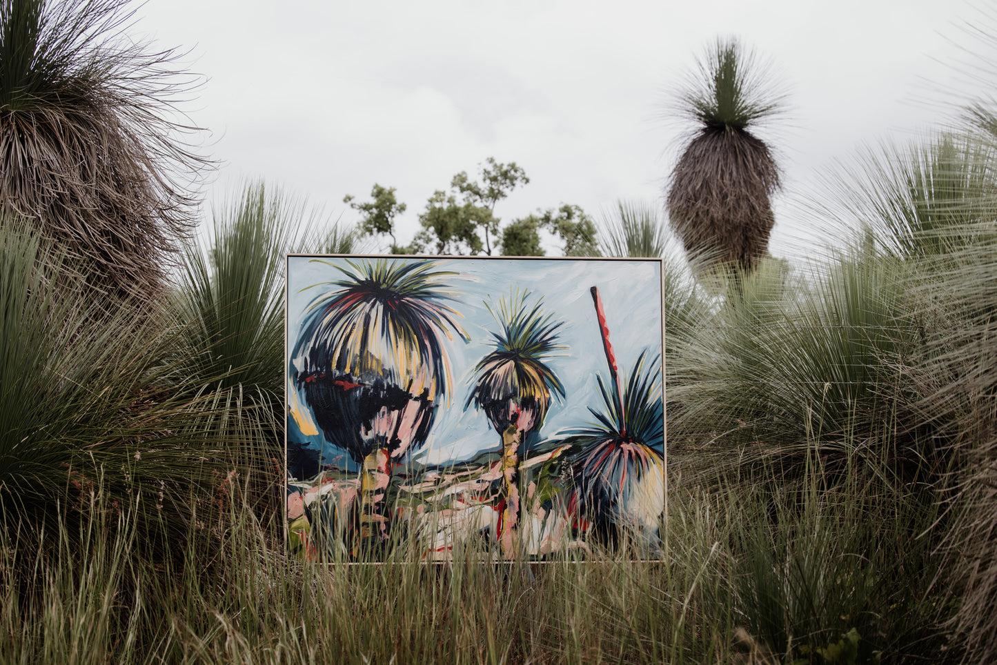 Australian Grass Trees