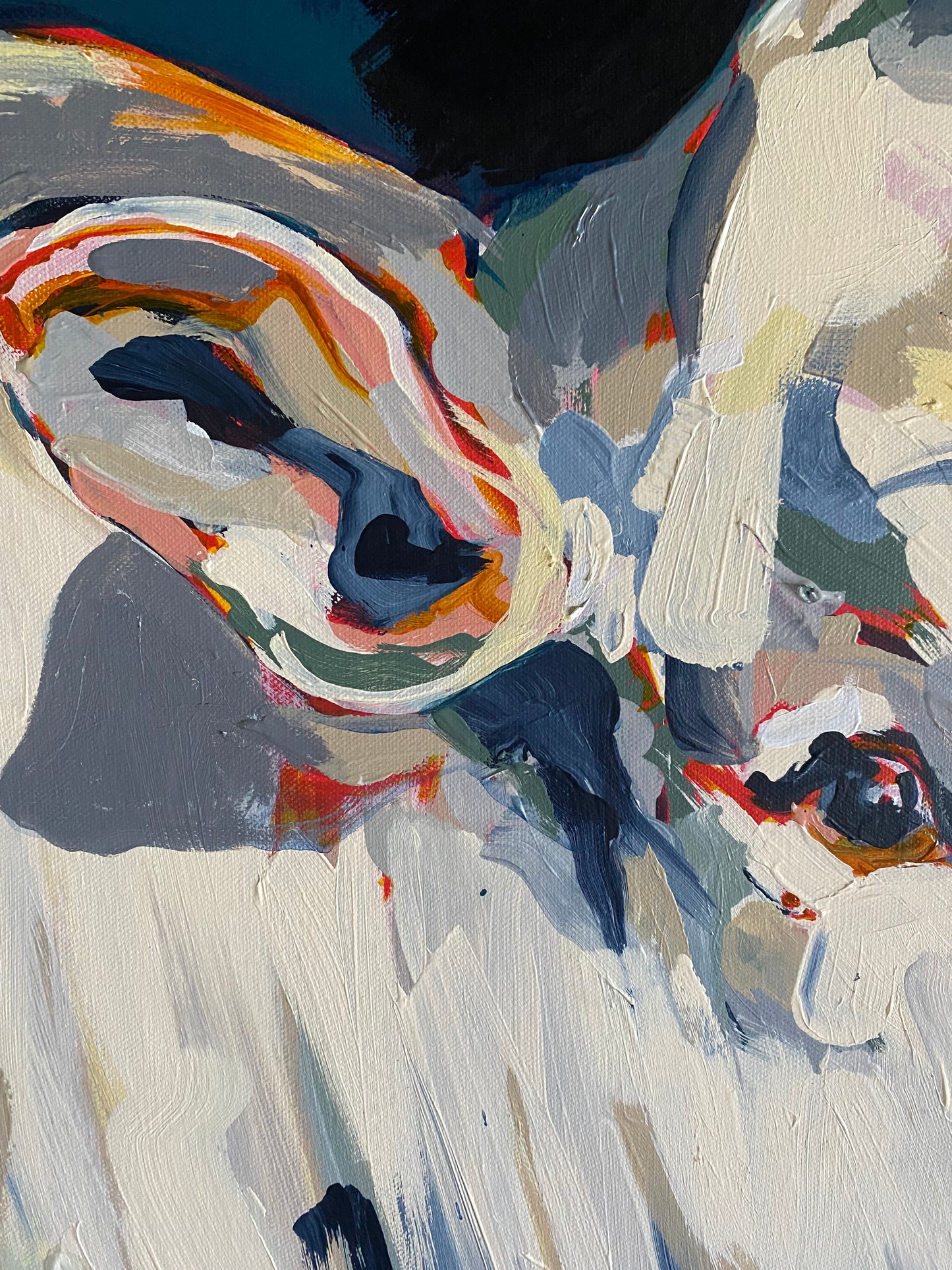 Commission: March, 2025 - 'Sundance' | Original Australian Bull Painting