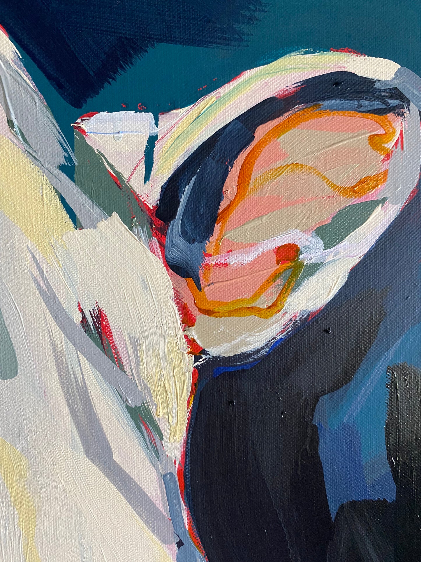 Commission: March, 2025 - 'Sundance' | Original Australian Bull Painting