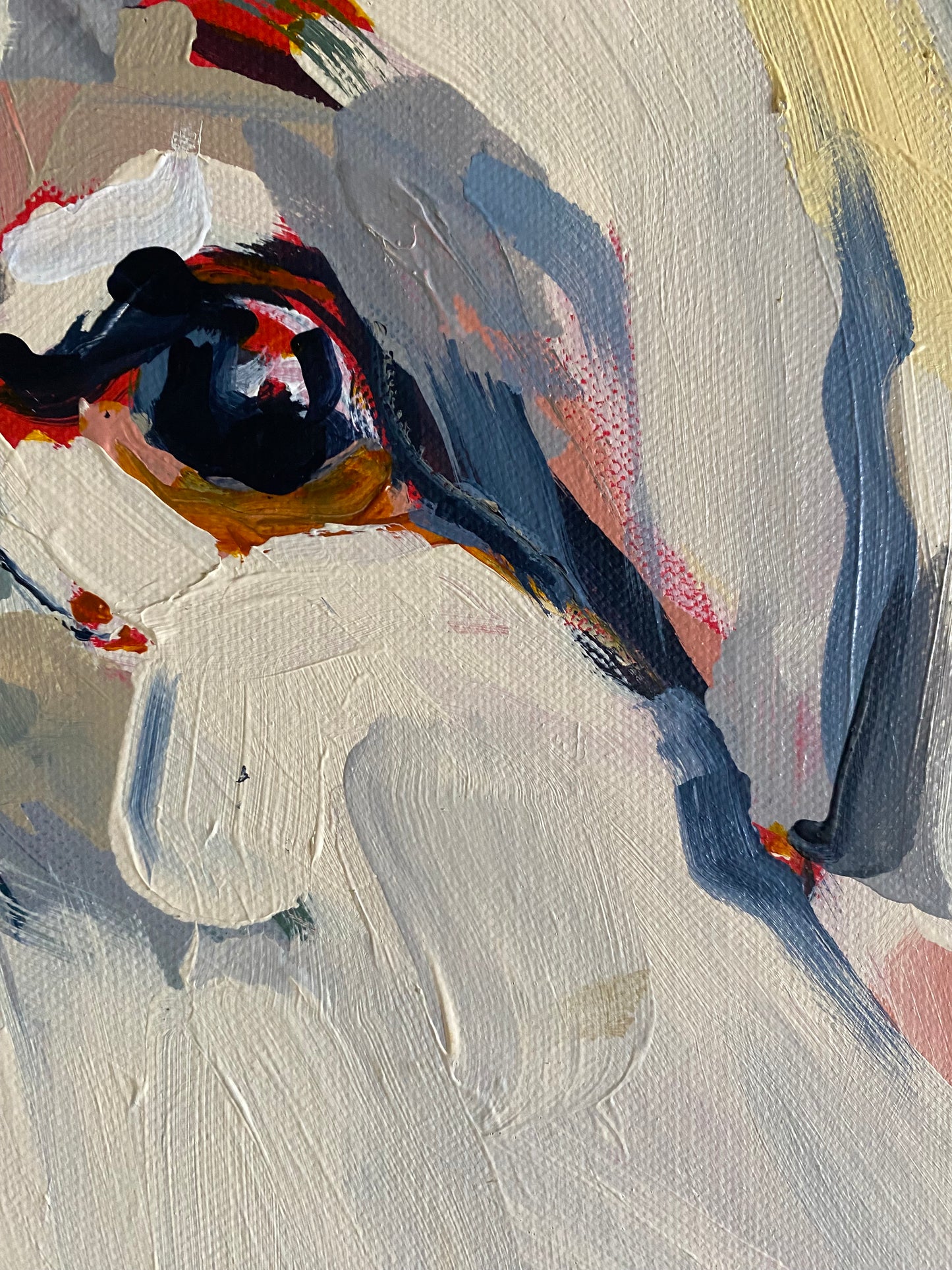 Commission: March, 2025 - 'Sundance' | Original Australian Bull Painting