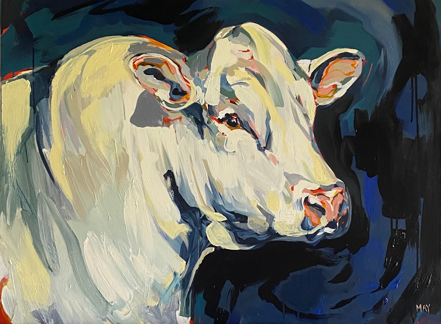 Commission: March, 2025 - 'Sundance' | Original Australian Bull Painting
